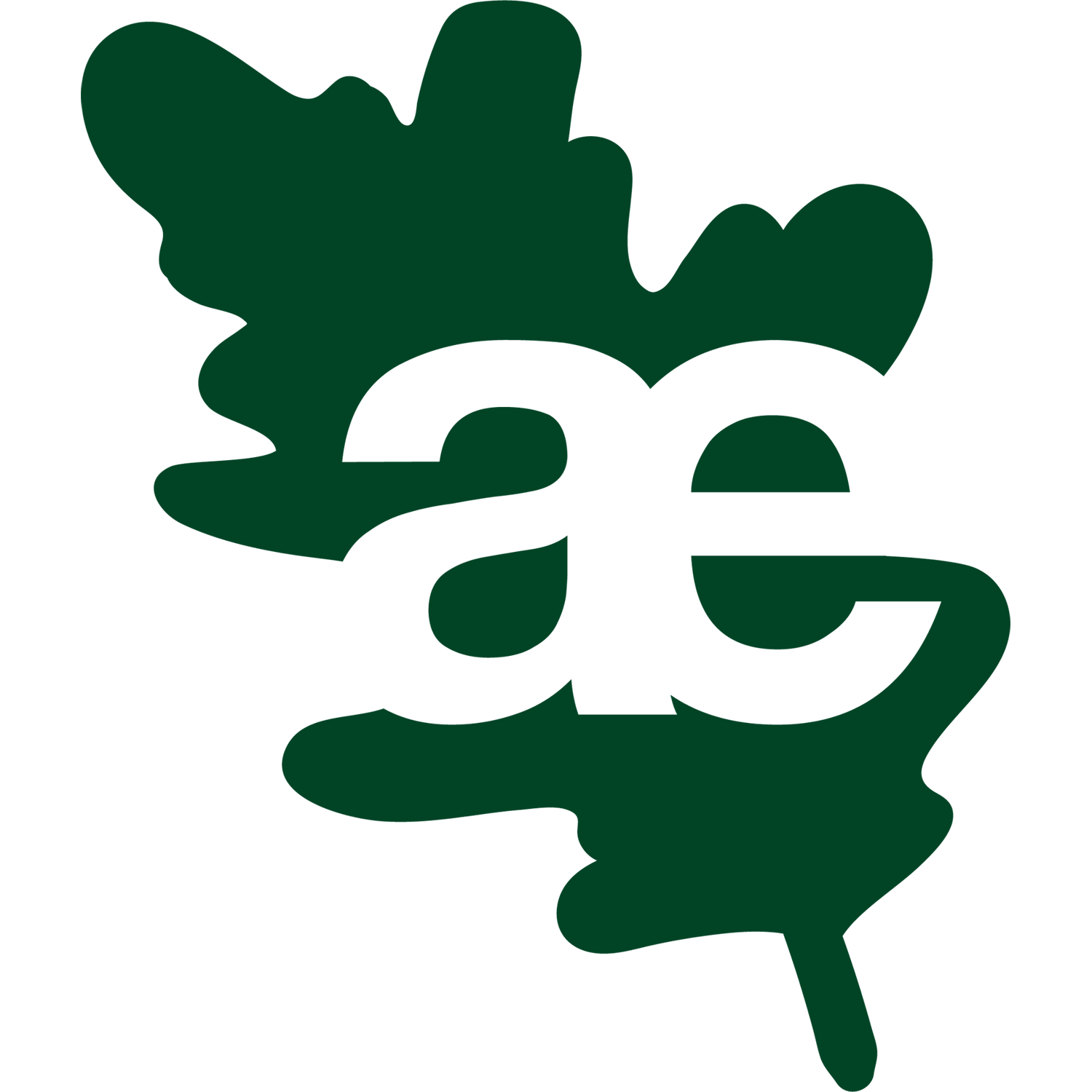 Akademia Eko